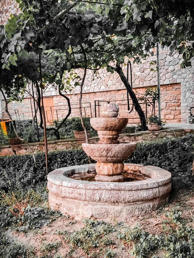 Veis Holiday home Kamenice